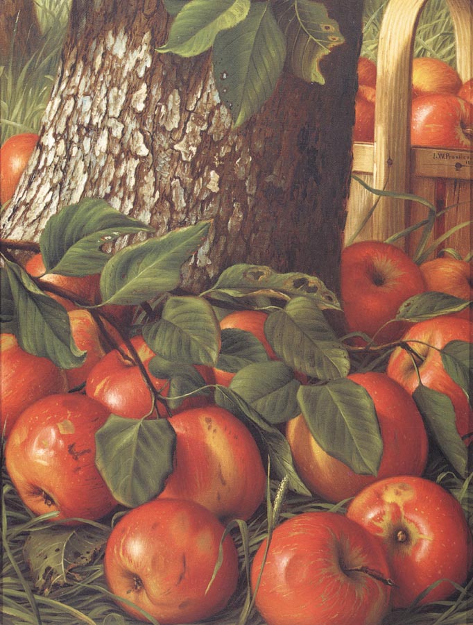 Apples Beneath a Tree